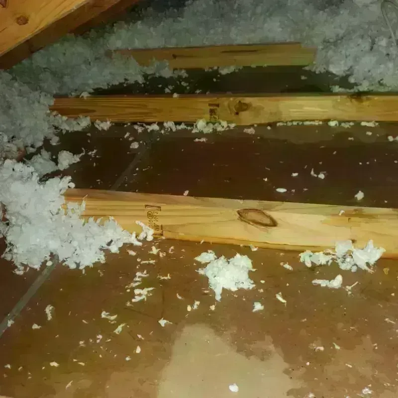 Attic Water Damage in Groveton, VA